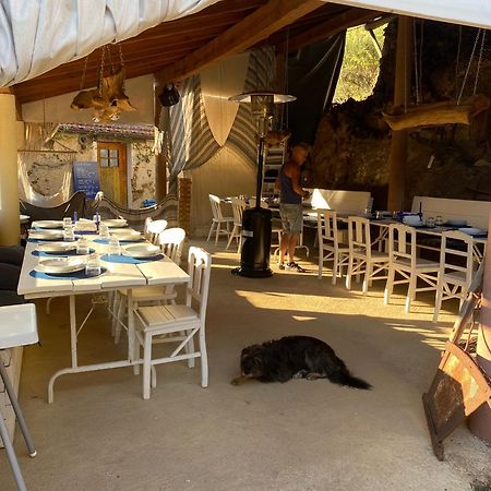 Unique Tiny House With Natural Building Techniques Figueiro Dos Vinhos Eksteriør bilde