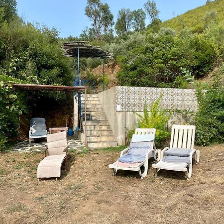 Unique Tiny House With Natural Building Techniques Figueiro Dos Vinhos Eksteriør bilde