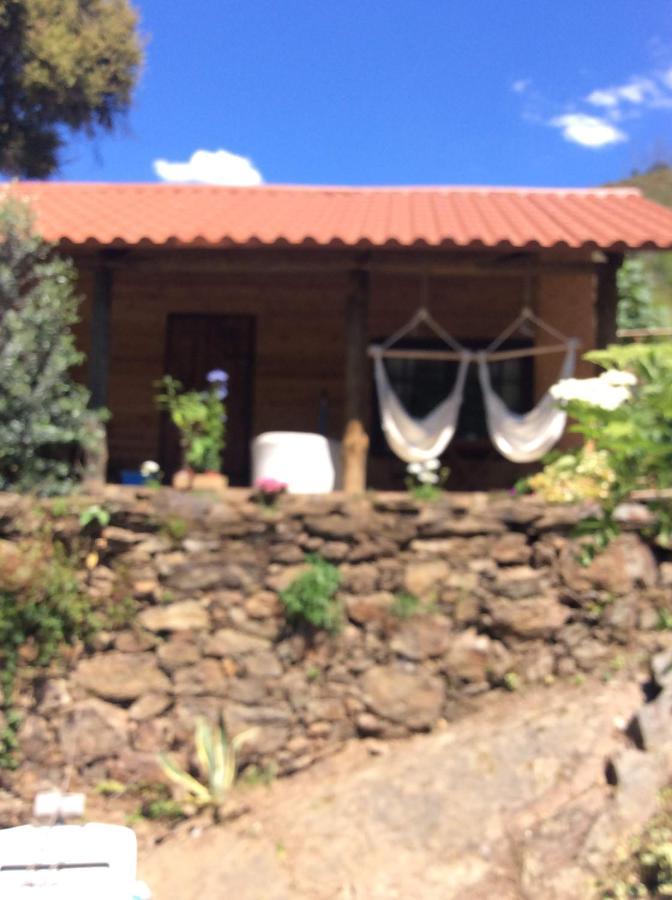 Unique Tiny House With Natural Building Techniques Figueiro Dos Vinhos Eksteriør bilde