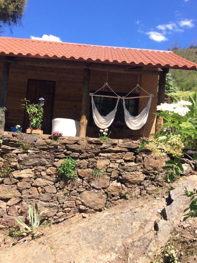 Unique Tiny House With Natural Building Techniques Figueiro Dos Vinhos Eksteriør bilde