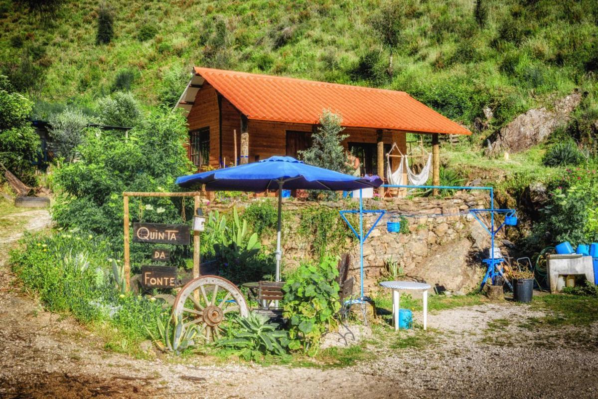 Unique Tiny House With Natural Building Techniques Figueiro Dos Vinhos Eksteriør bilde