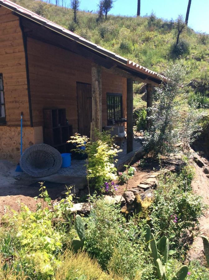 Unique Tiny House With Natural Building Techniques Figueiro Dos Vinhos Eksteriør bilde