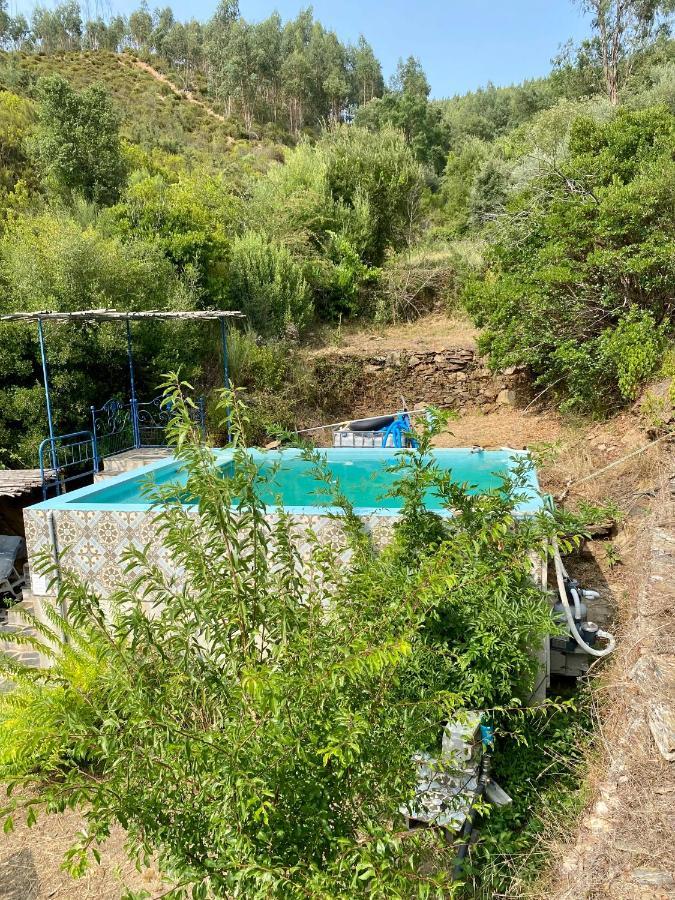 Unique Tiny House With Natural Building Techniques Figueiro Dos Vinhos Eksteriør bilde