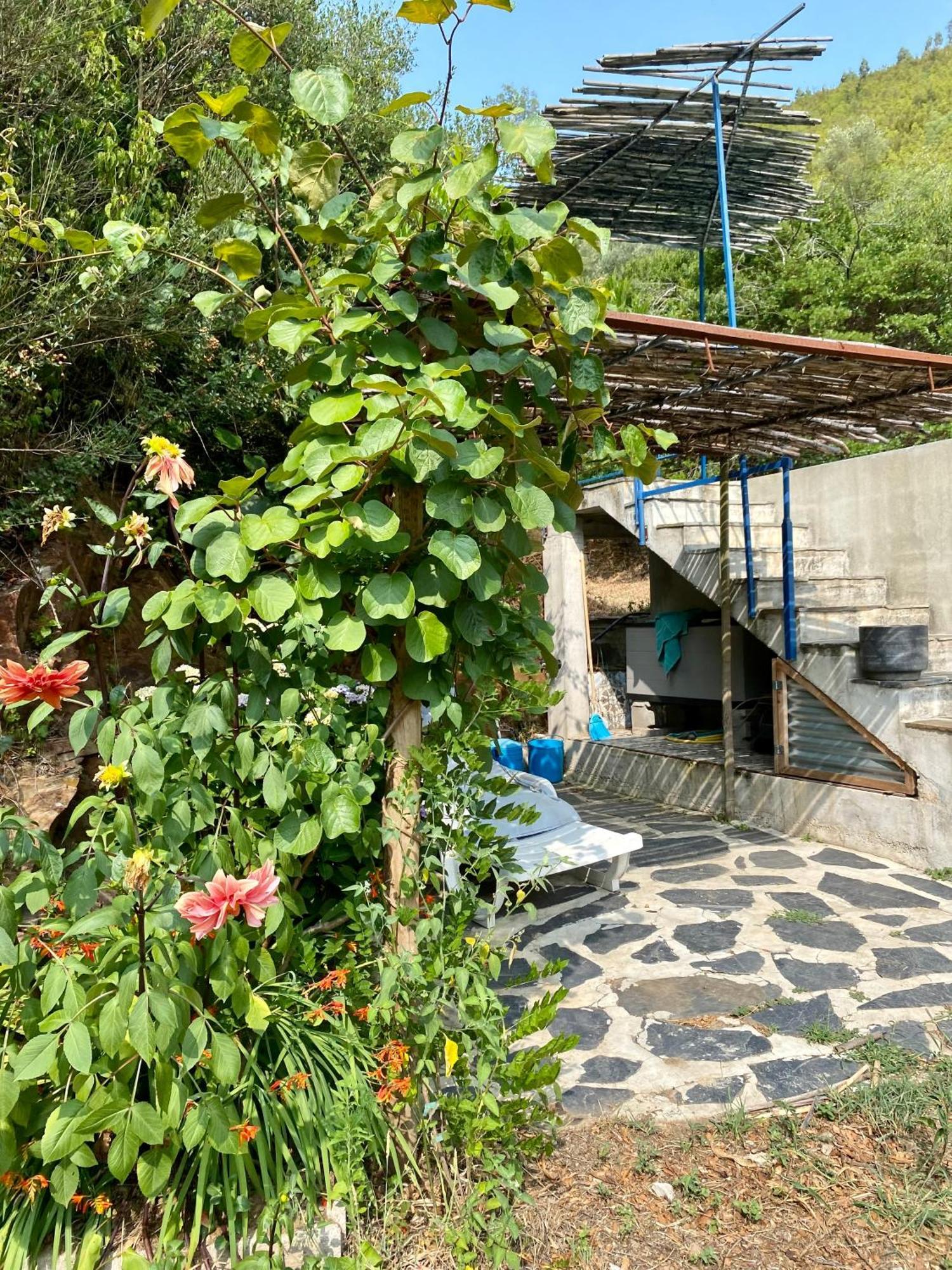 Unique Tiny House With Natural Building Techniques Figueiro Dos Vinhos Eksteriør bilde