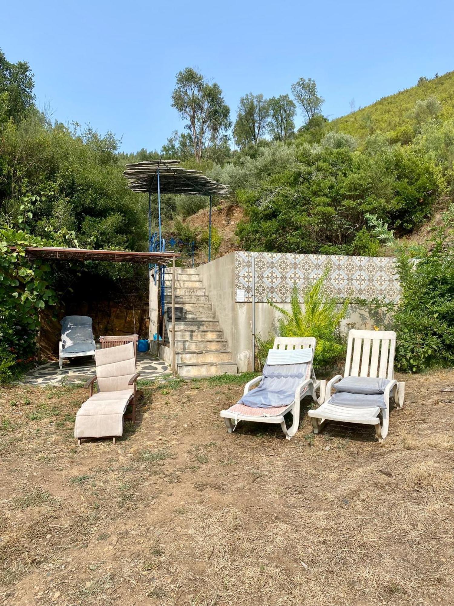 Unique Tiny House With Natural Building Techniques Figueiro Dos Vinhos Eksteriør bilde